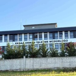 Tokat’ta Orman İhalelerinde Yolsuzluk Operasyonu