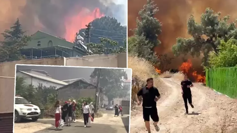 Orman Yangınları