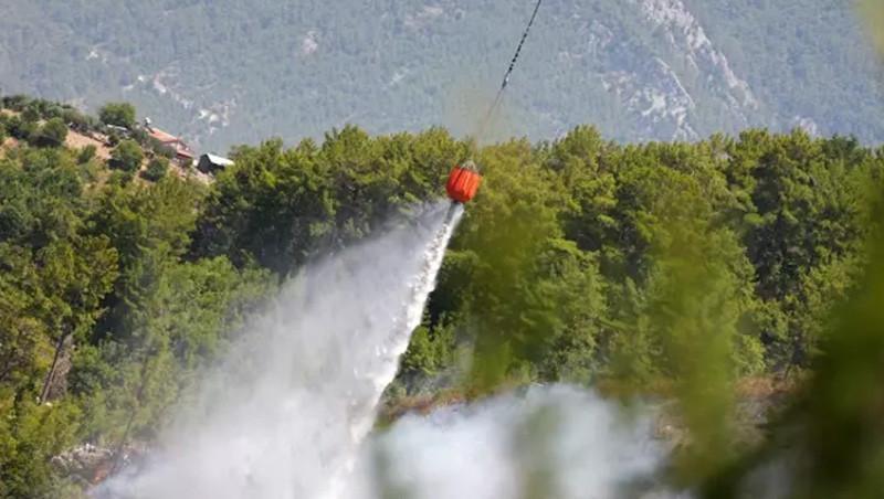 Orman Yangınları